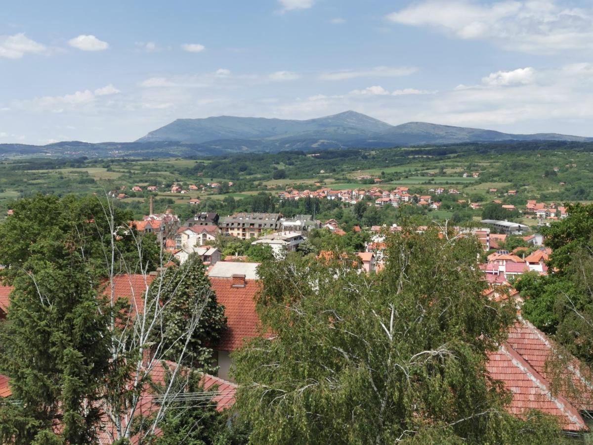 Vila Breza Sokobanja Exterior foto