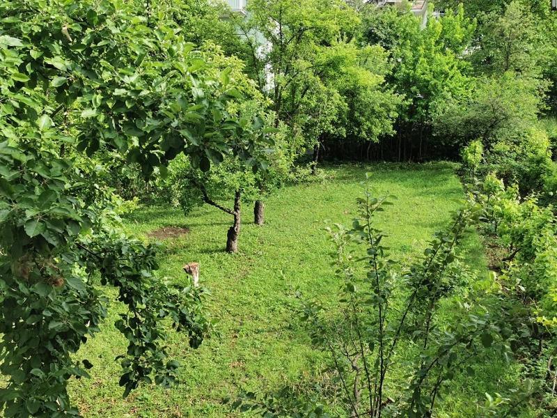 Vila Breza Sokobanja Exterior foto