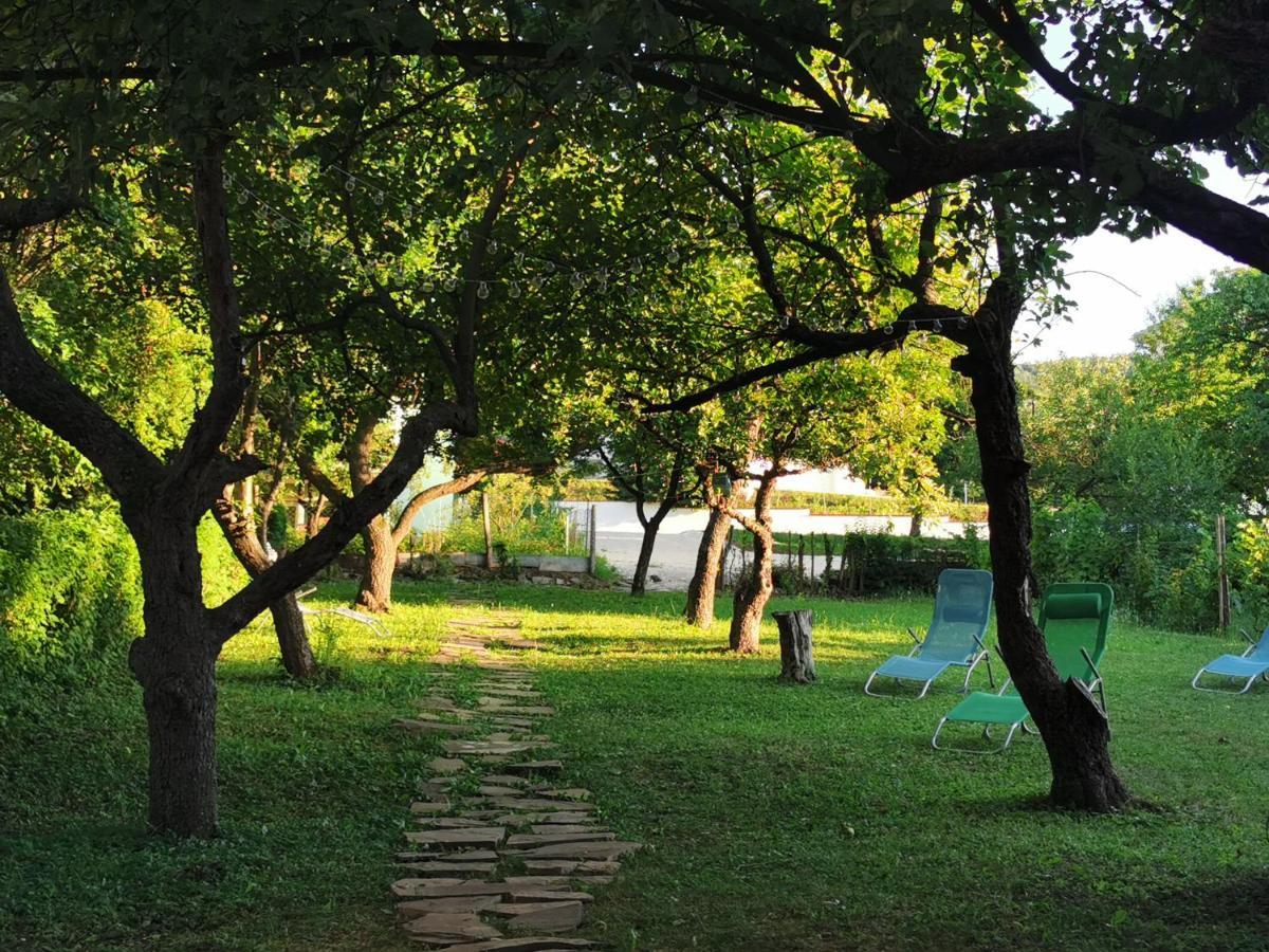 Vila Breza Sokobanja Exterior foto