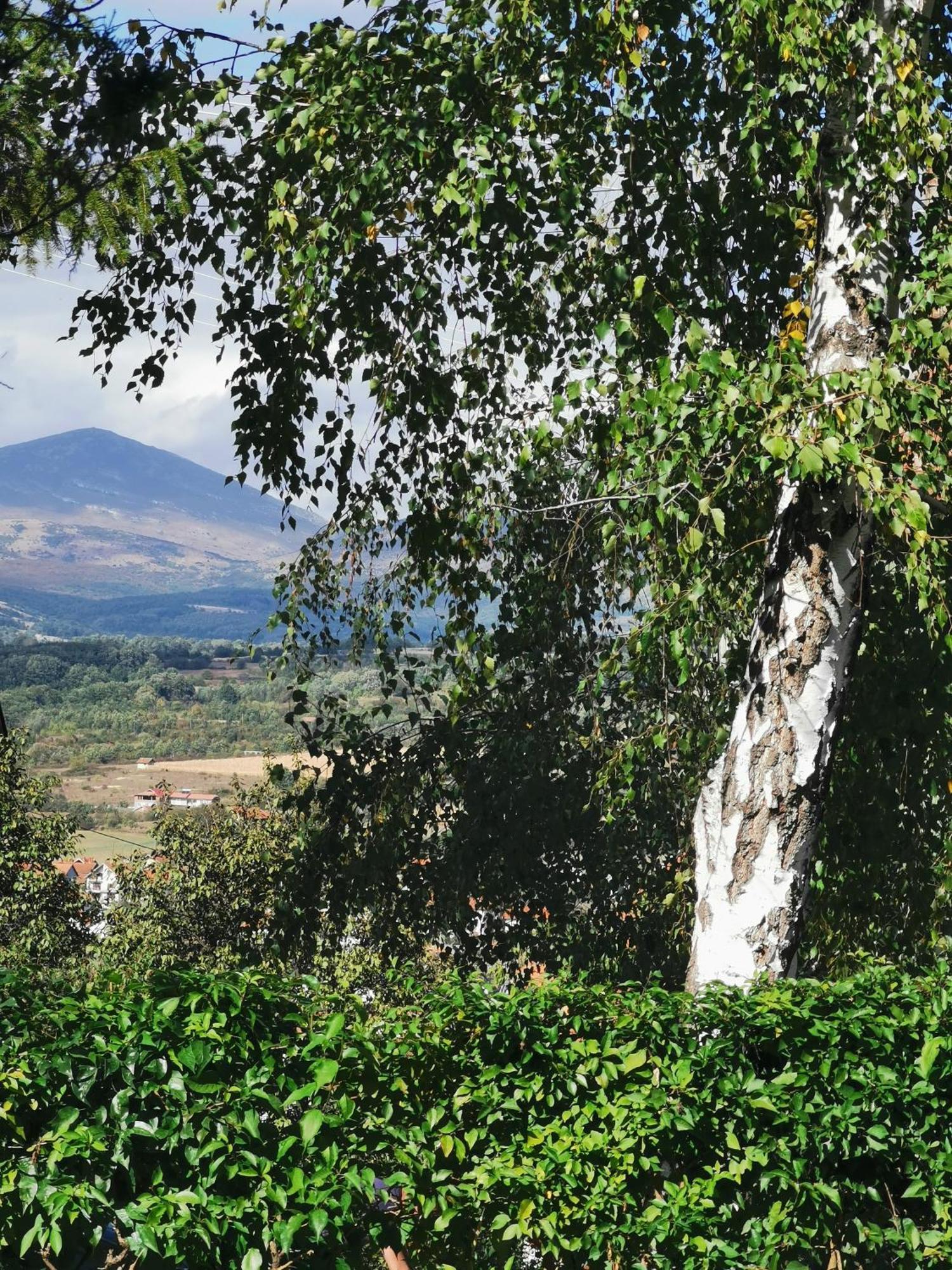 Vila Breza Sokobanja Quarto foto